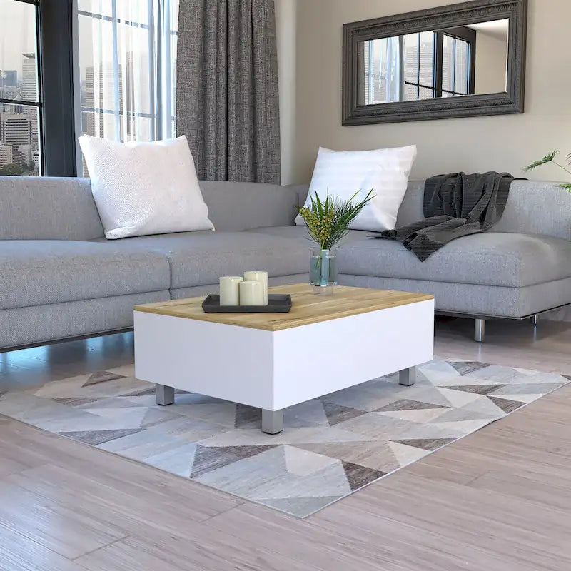 Table basse avec plateau relevable, rangement intégré et 4 pieds TUHOME Gambia