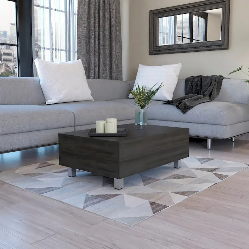 Table basse avec plateau relevable, rangement intégré et 4 pieds TUHOME Gambia