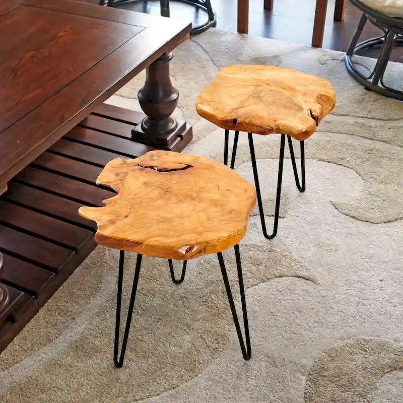 Support Naturel en Racines de Cèdre avec 3 Pieds Épingle - 13,5 x 12 x 19
