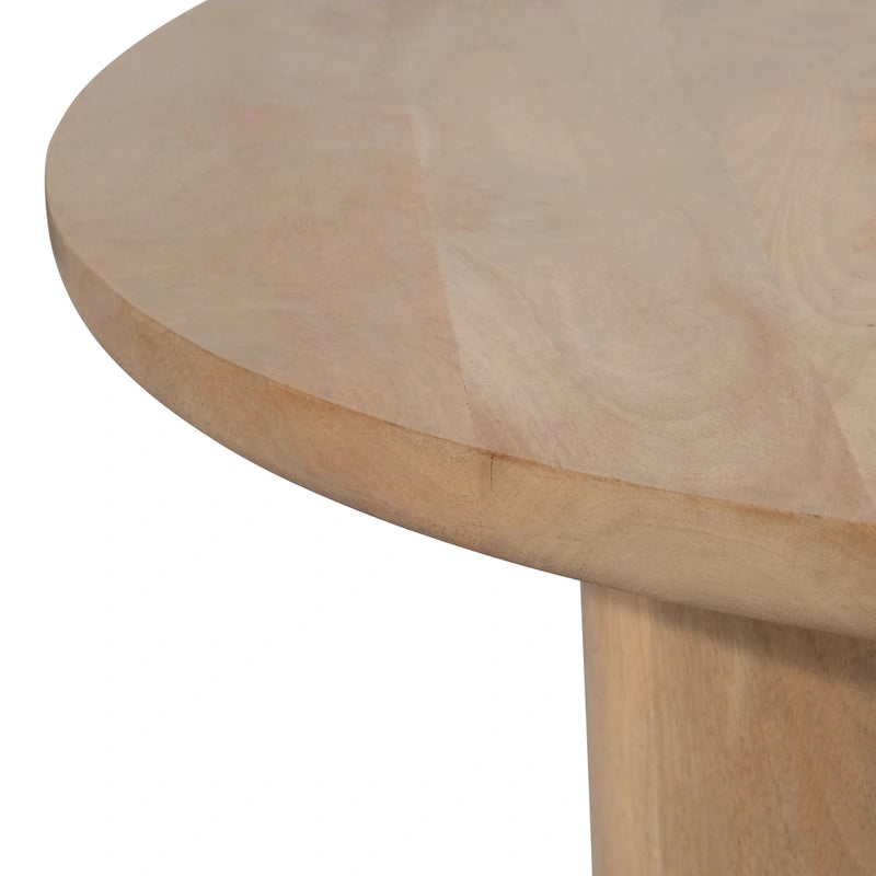 Sagebrook Home Paires de Tables Basses Élegantes en Bois de Mangue pour Intérieurs Modernes