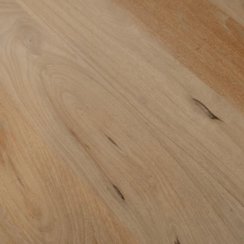 Sagebrook Home Paires de Tables Basses Élegantes en Bois de Mangue pour Intérieurs Modernes