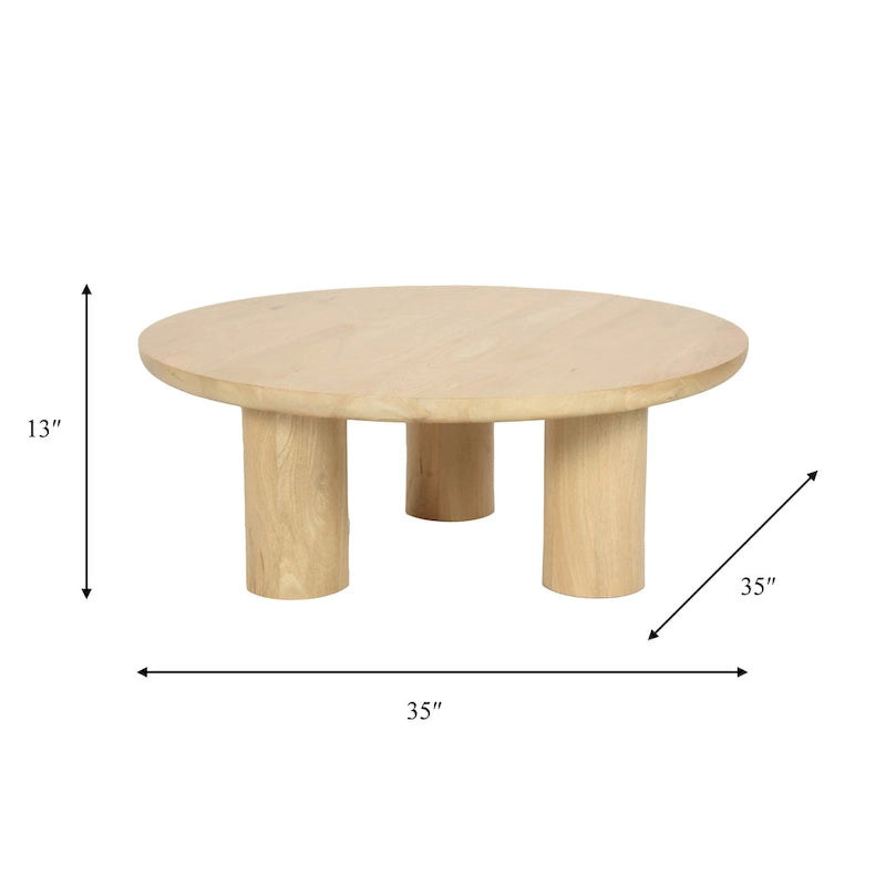 Sagebrook Home Paires de Tables Basses Élegantes en Bois de Mangue pour Intérieurs Modernes