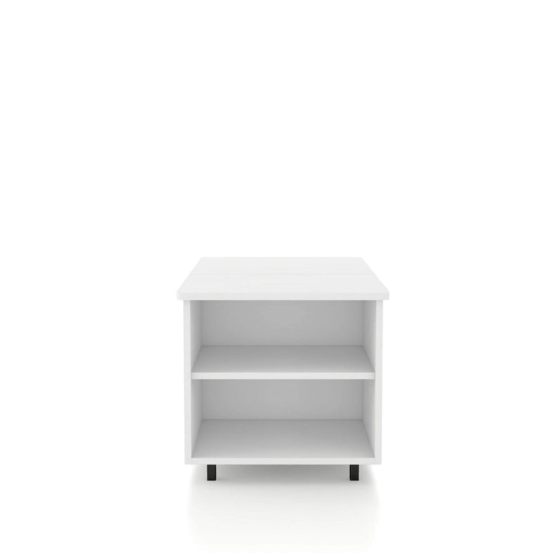 Table basse relevable DH BASIC Modern de 37 pouces avec lumière LED 16 couleurs et étagère réglable
